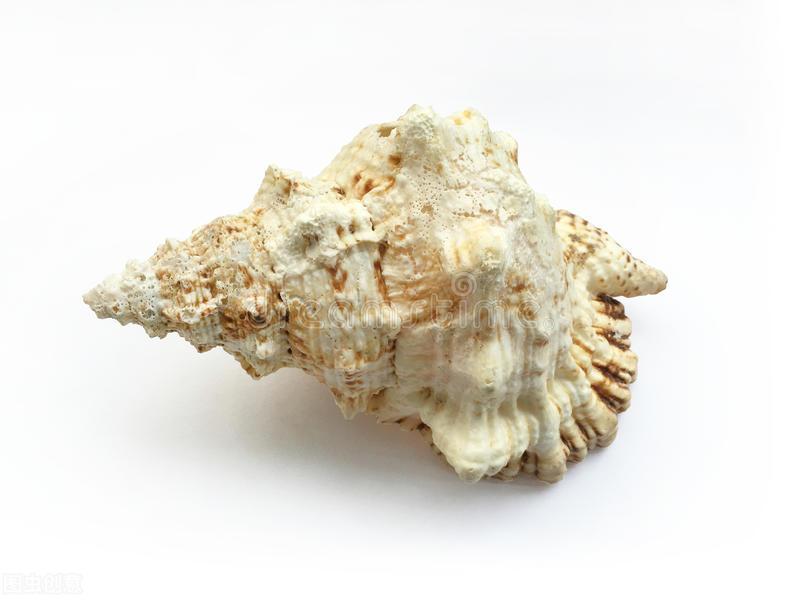 成年女性补钙吃什么钙片好(成年女生吃钙片有用吗)-硒宝网