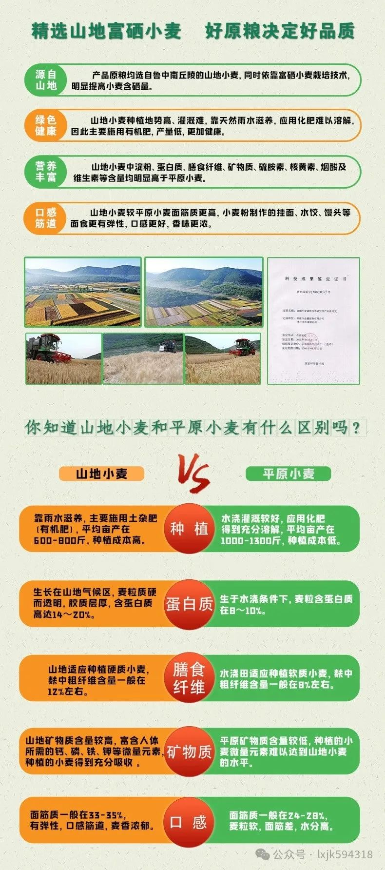 补硒什么品牌的比较好(补硒哪个品牌的效果好)-硒宝网