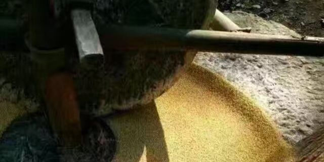 肾不好的人能不能补硒(吃硒对肾有什么好处)-硒宝网