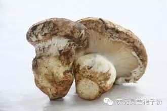 补植物硒对肝癌有用吗（补肝癌植物硒用有副作用吗）-硒宝网