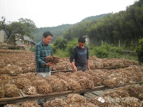 补植物硒对肝癌有用吗（补肝癌植物硒用有副作用吗）-硒宝网
