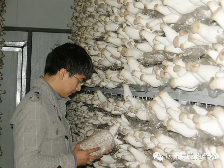 补植物硒对肝癌有用吗（补肝癌植物硒用有副作用吗）-硒宝网