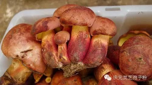 补植物硒对肝癌有用吗（补肝癌植物硒用有副作用吗）-硒宝网