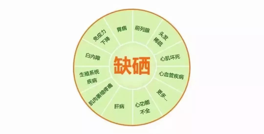 什么人适宜补硒元素呢（适宜补元素硒人群的食物）-硒宝网