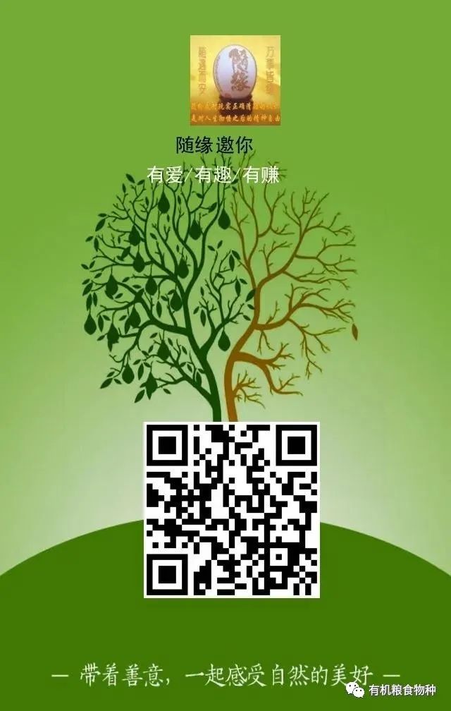 什么人适宜补硒元素呢（适宜补元素硒人群的食物）-硒宝网