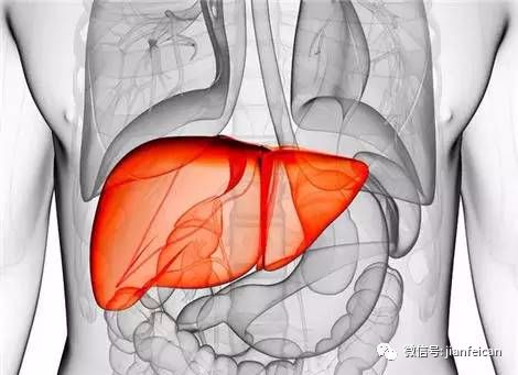 补硒同时可以吃b族吗(补硒期间可以喝酒吗)-硒宝网