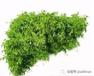 补硒同时可以吃b族吗(补硒期间可以喝酒吗)-硒宝网