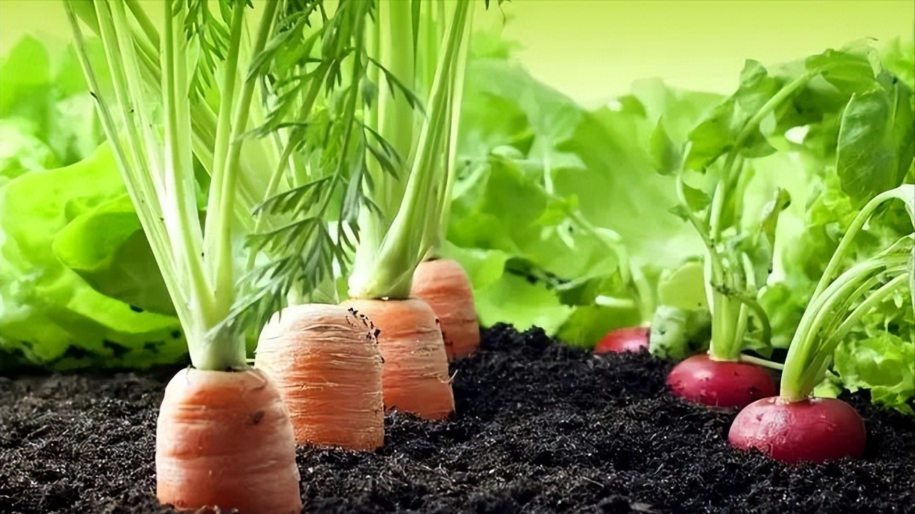 锌硒和铜可以同时补吗(锌硒可以壮阳吗)-硒宝网