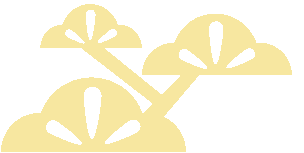 菠菜补铁吗（菠菜补铁效果怎么样）-硒宝网