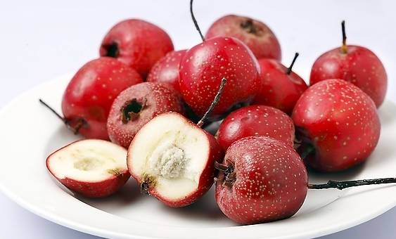 免疫力不够可以补硒吗（身体免疫力低可以吃硒片吗）-硒宝网