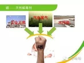 补硒可有效防治哮喘?。ㄖ蜗牟蛊罚?硒宝网