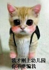 小朋友查微量元素挂什么科（查微量元素挂内科哪个科室?。?硒宝网