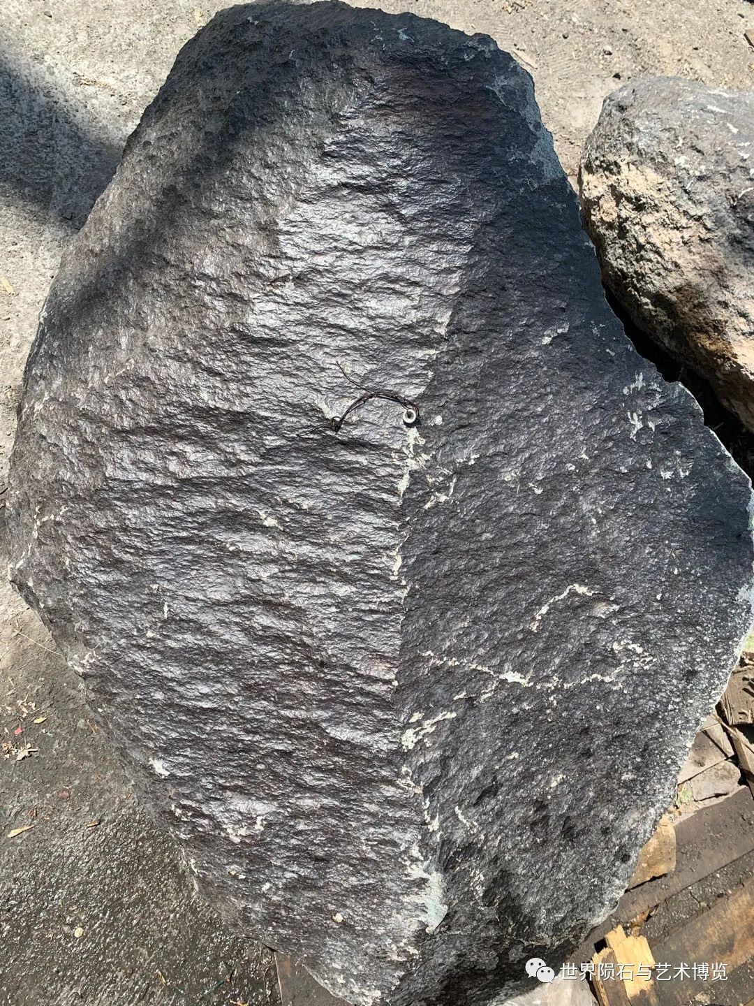 补硒可有效防治哮喘?。ㄎ梢灾瘟葡穑?硒宝网