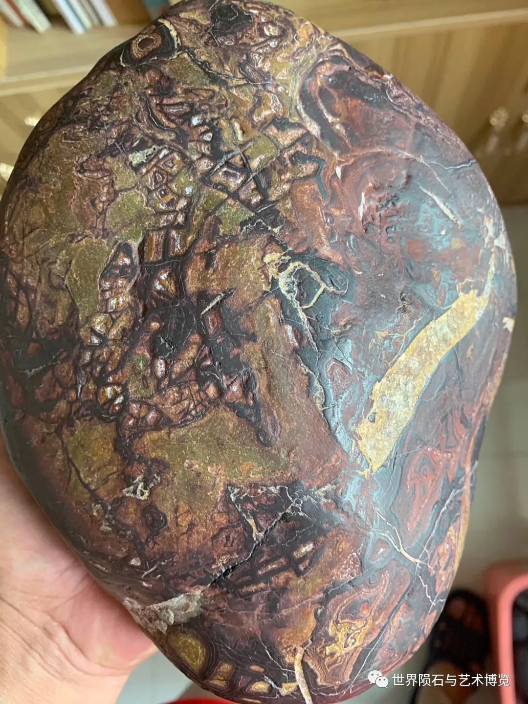 补硒可有效防治哮喘病（硒可以治疗哮喘吗）-硒宝网