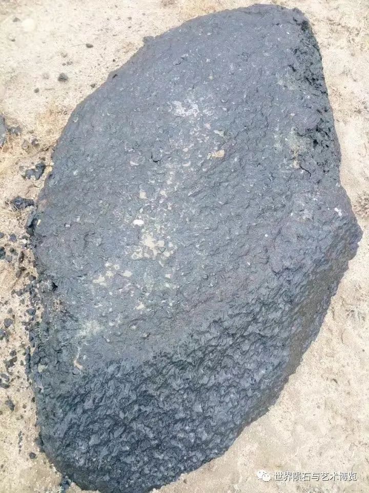 补硒可有效防治哮喘?。ㄎ梢灾瘟葡穑?硒宝网