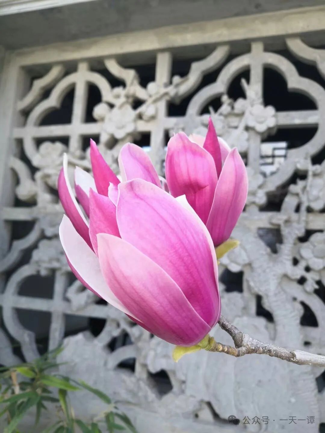 肝不好乏力补硒有用吗（肝不好补硒吃什么好）-硒宝网