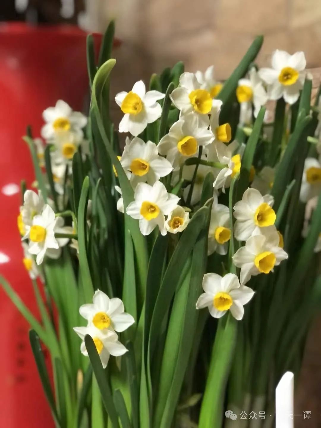 肝不好乏力补硒有用吗（肝不好补硒吃什么好）-硒宝网