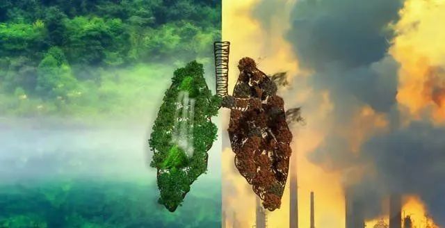 老慢支哮喘补硒有效果（硒可以治疗哮喘吗）-硒宝网