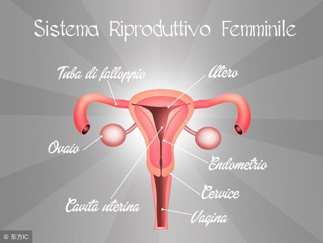得了宫颈癌可以补硒嘛（宫颈癌患者可以补硒吗）-硒宝网