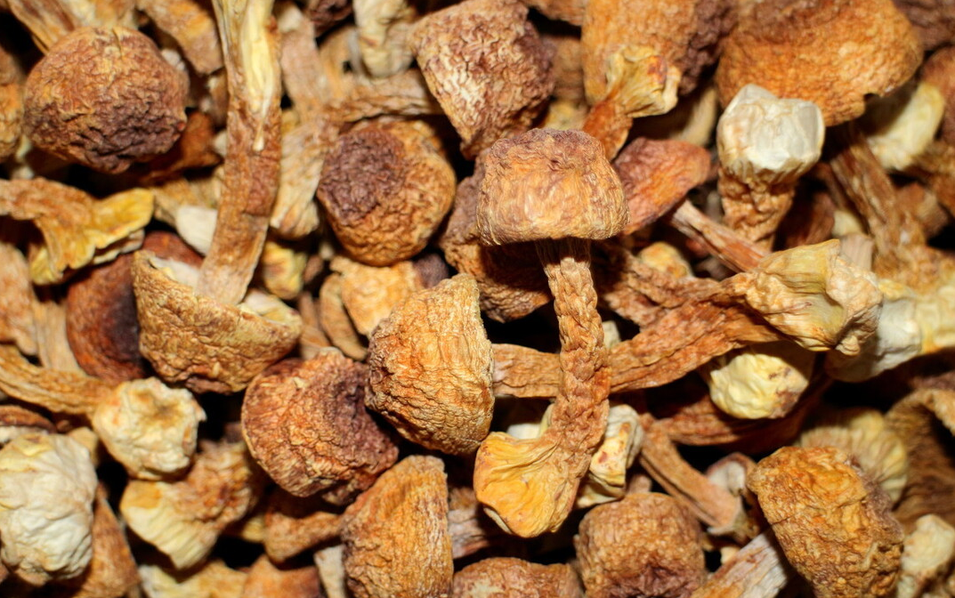 麦芽硒补多了会怎么样（补麦芽硒的副作用）-硒宝网