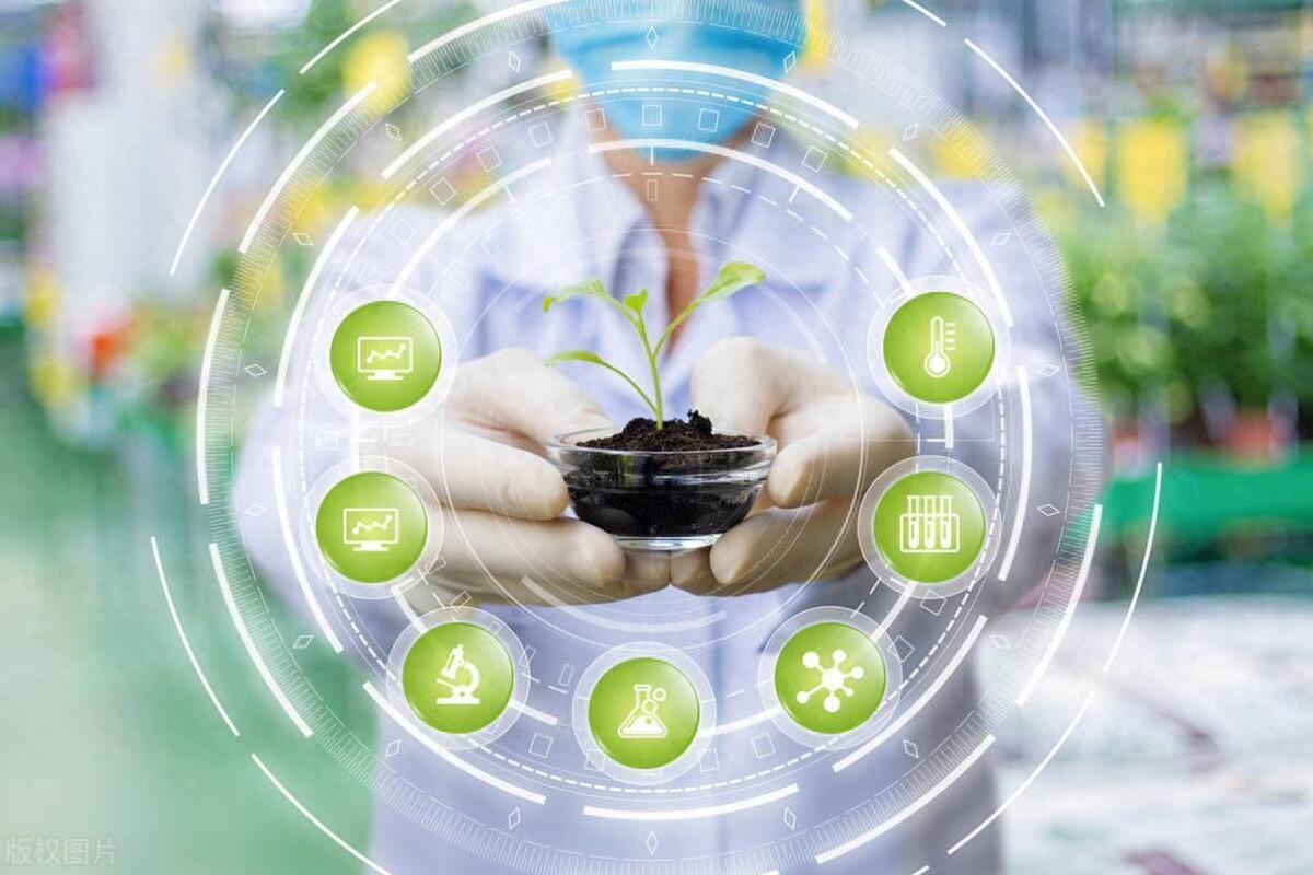 缺硒会怎么样 怎么补(缺硒会干嘛)-硒宝网