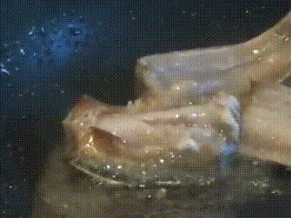 补硒后还可以吃中药吗(吃了补硒药不良反应)-硒宝网