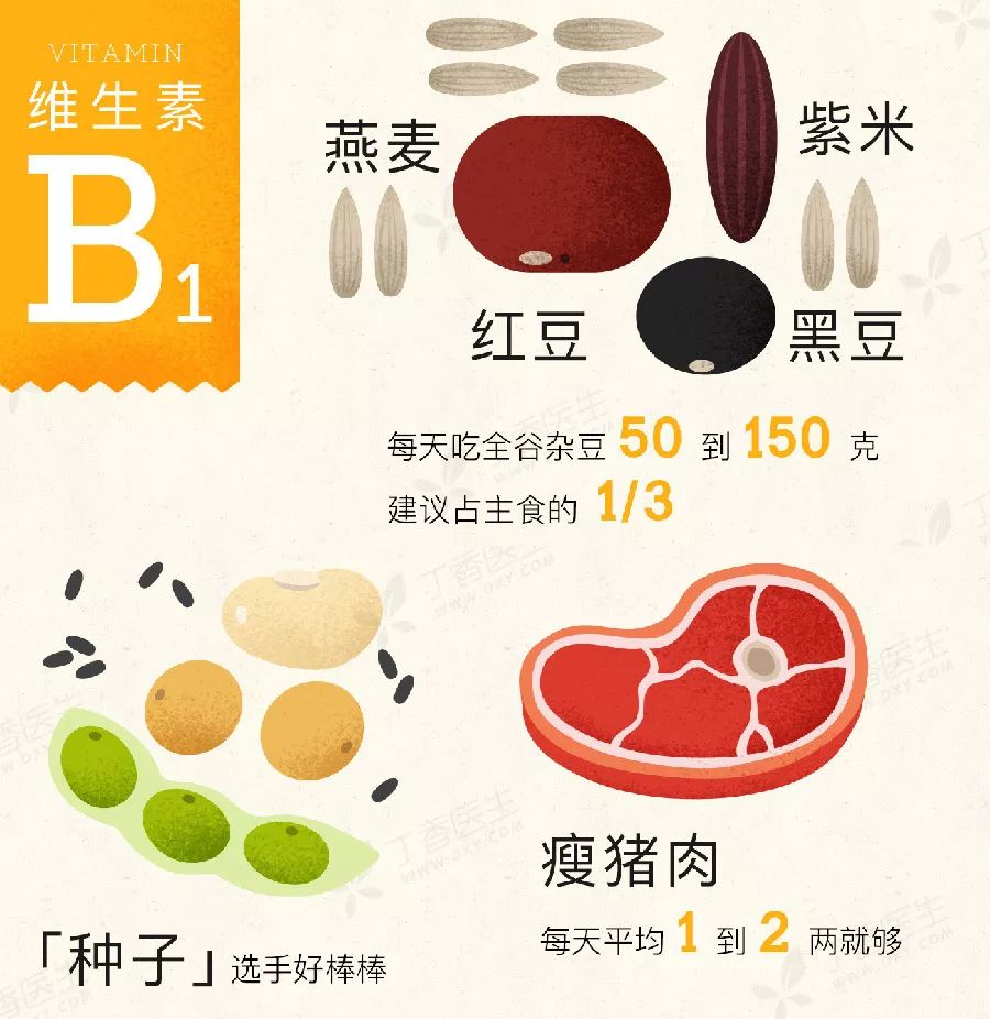 微量元素食物有哪些(微量食物元素有什么作用)-硒宝网