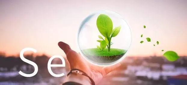 单独补硒的营养素产品（素食补硒）-硒宝网