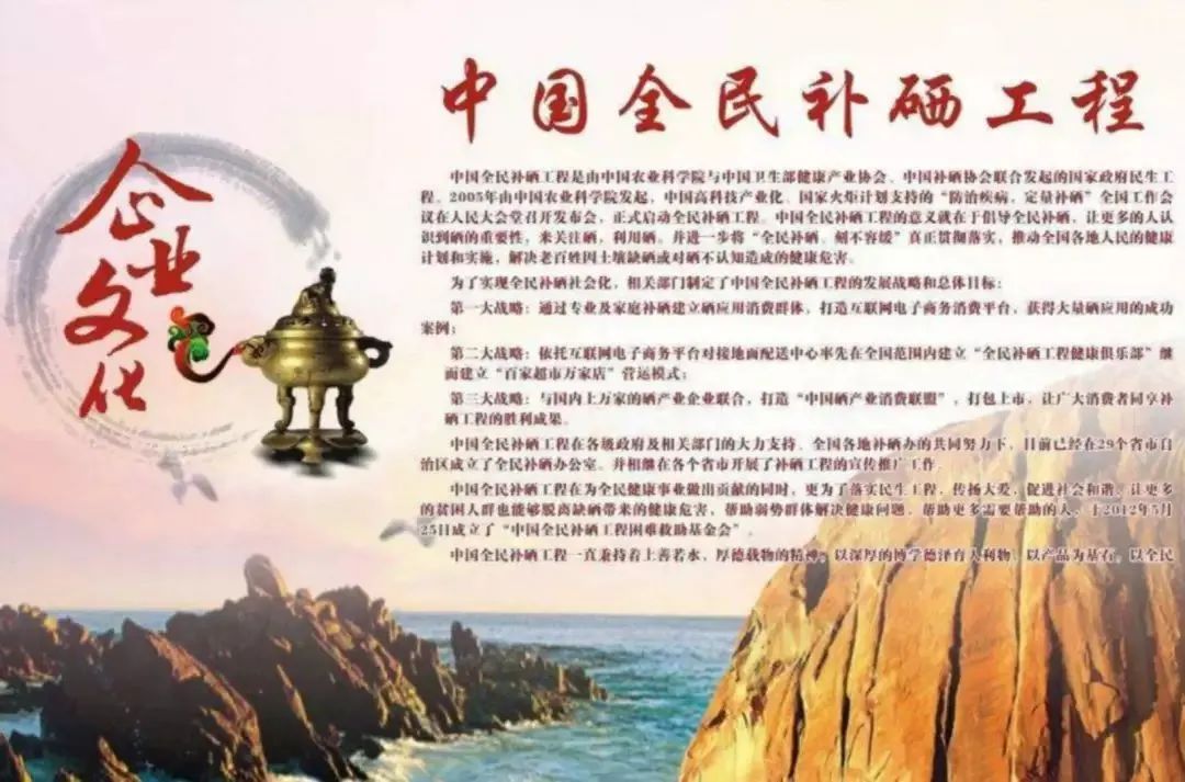 单独补硒的营养素产品（素食补硒）-硒宝网