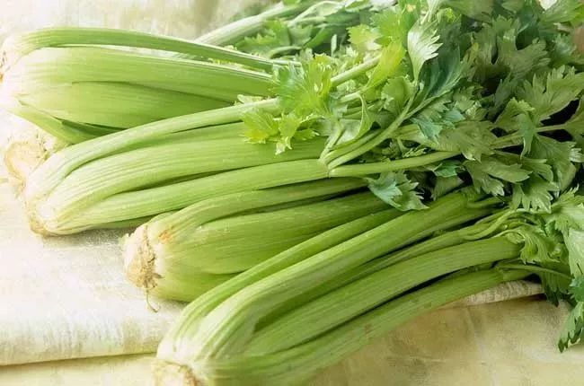 补什么样的硒最好吸收（硒人体怎么吸收）-硒宝网