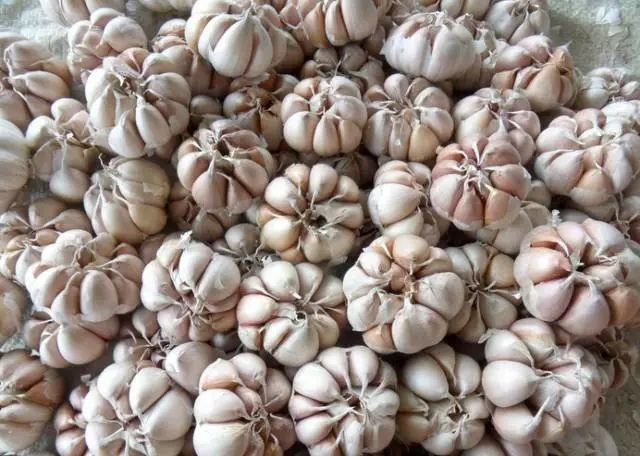 补什么样的硒最好吸收（硒人体怎么吸收）-硒宝网