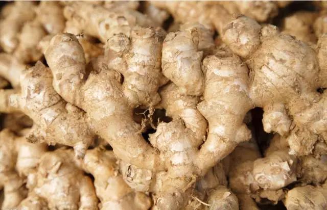 补什么样的硒最好吸收（硒人体怎么吸收）-硒宝网