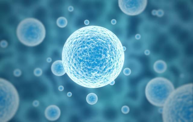 甲减要吃哪些补硒的药（甲减补硒要补多长时间）-硒宝网