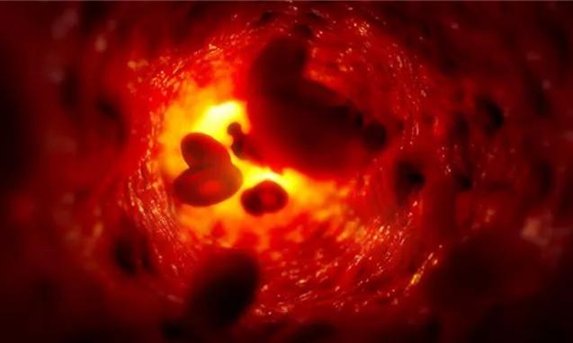 补硒能双向调节免疫力（免疫力双向调节的药物）-硒宝网