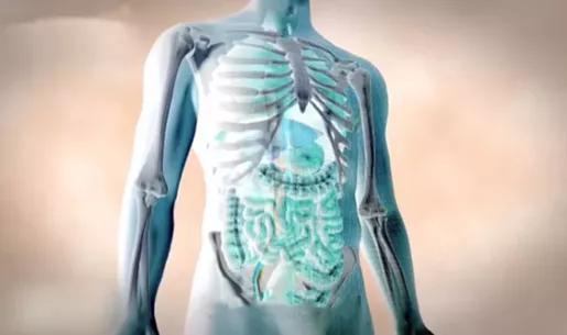 补硒能双向调节免疫力（免疫力双向调节的药物）-硒宝网