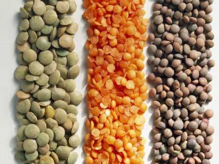 素食者怎样补硒元素呢（补充硒元素有哪些食物）-硒宝网