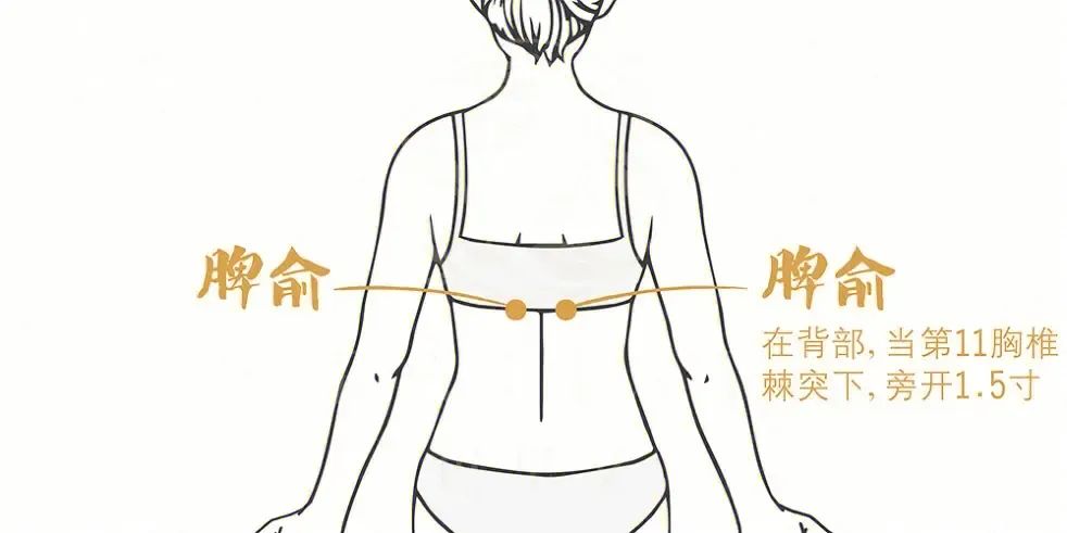 补硒会出现排病反应吗(补硒排毒反应)-硒宝网