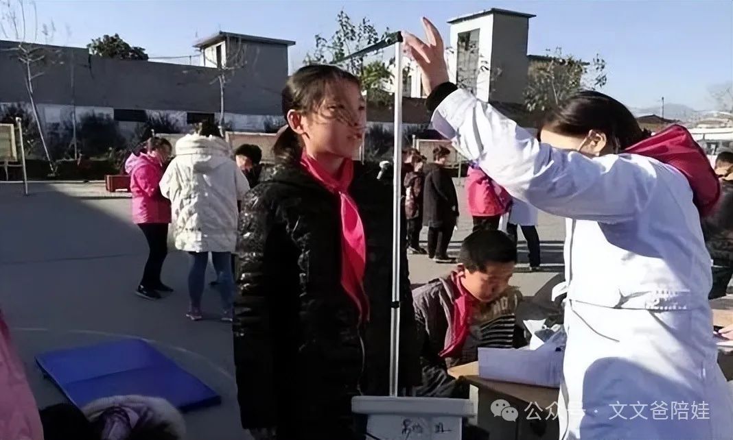 最补锌的10种食物(食物补锌的最佳选择是)-硒宝网