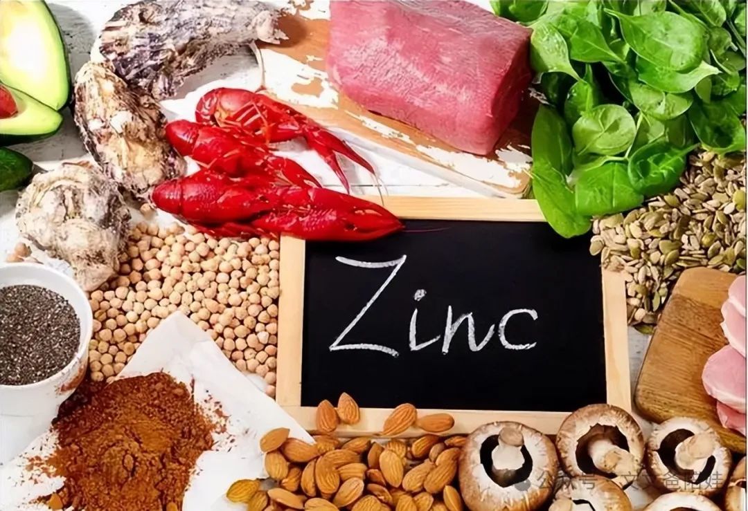 最补锌的10种食物(食物补锌的最佳选择是)-硒宝网