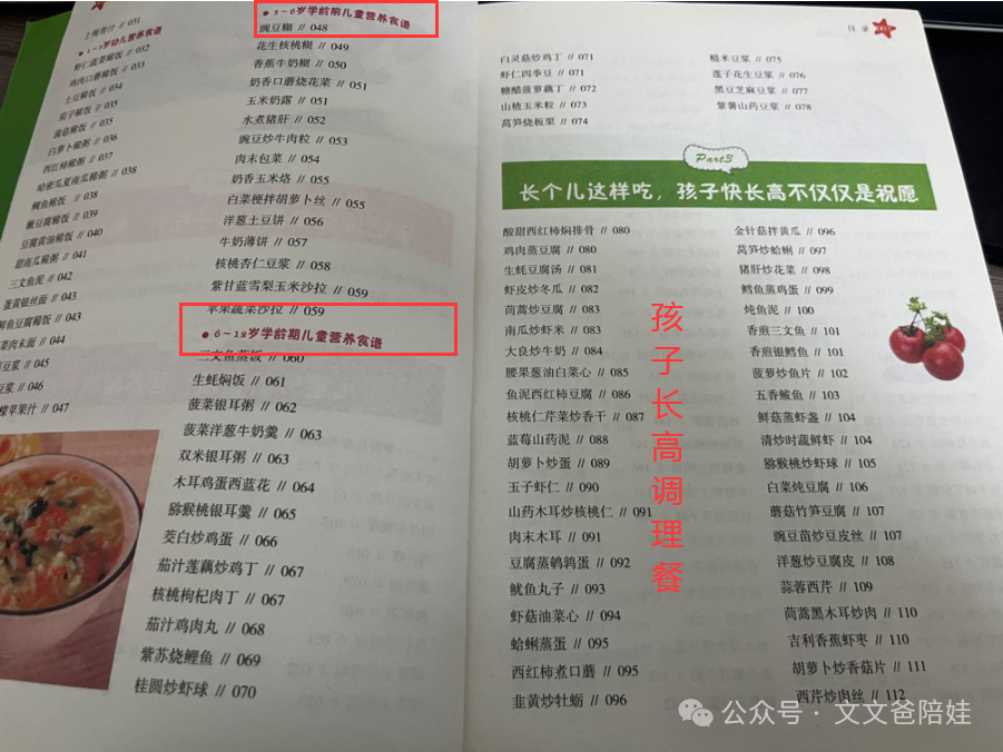 最补锌的10种食物(食物补锌的最佳选择是)-硒宝网