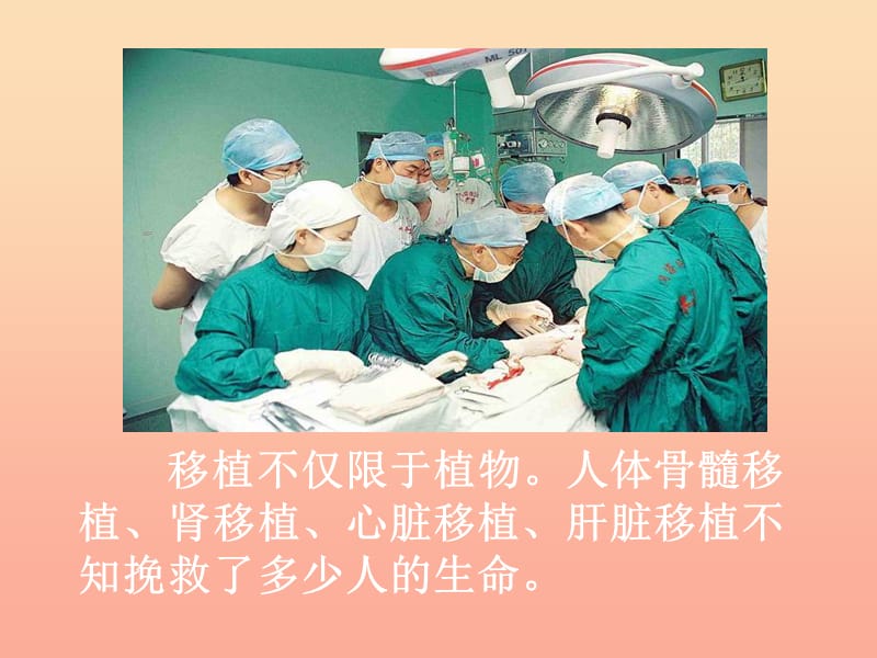 肾移植植后可以补硒吗(肾移植后可以补肾吗)-硒宝网