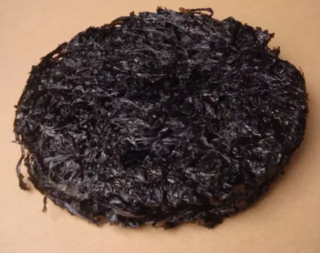 五个月的宝宝补钙补哪种最合适(宝宝补钙的最佳月份)-硒宝网