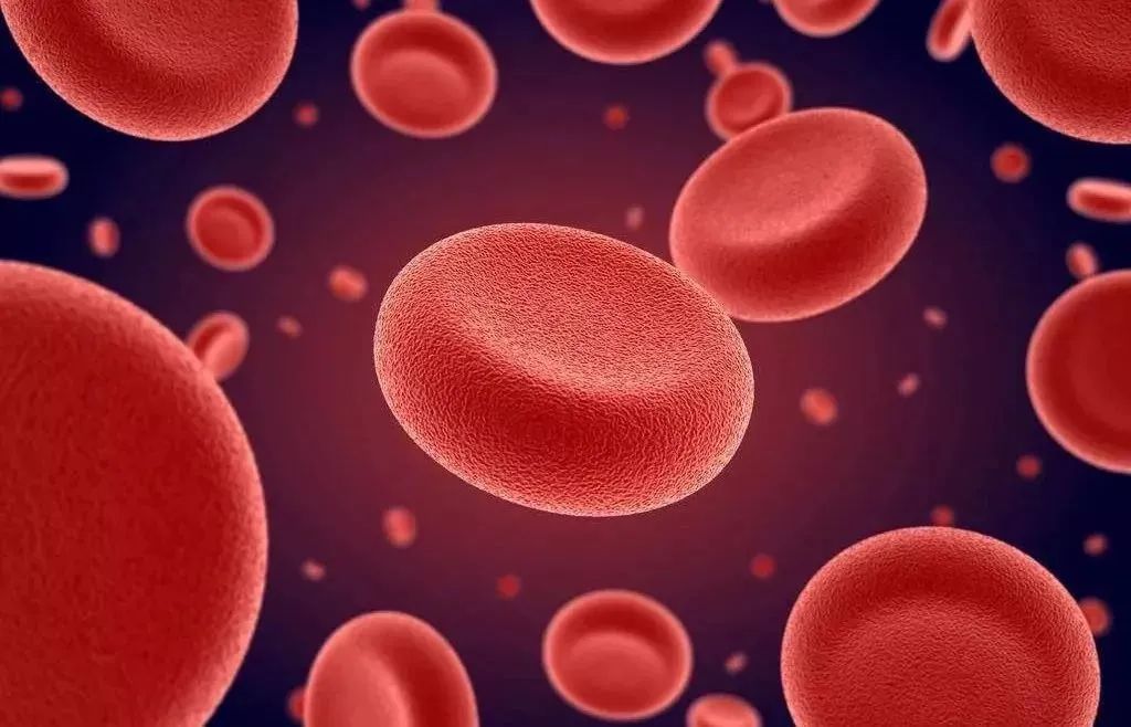 孕晚期补铁(孕晚期补铁补到什么时候停止)-硒宝网