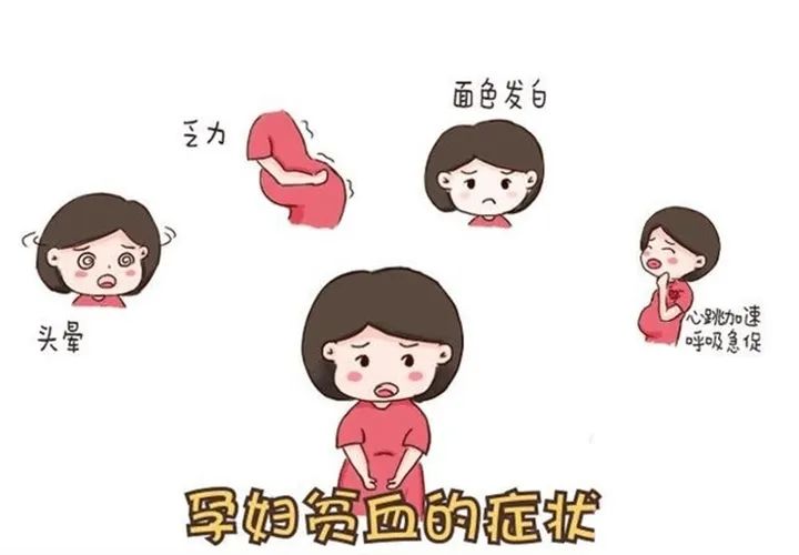 怀孕怎么补铁(怀孕补铁吃什么食物最好最快)-硒宝网