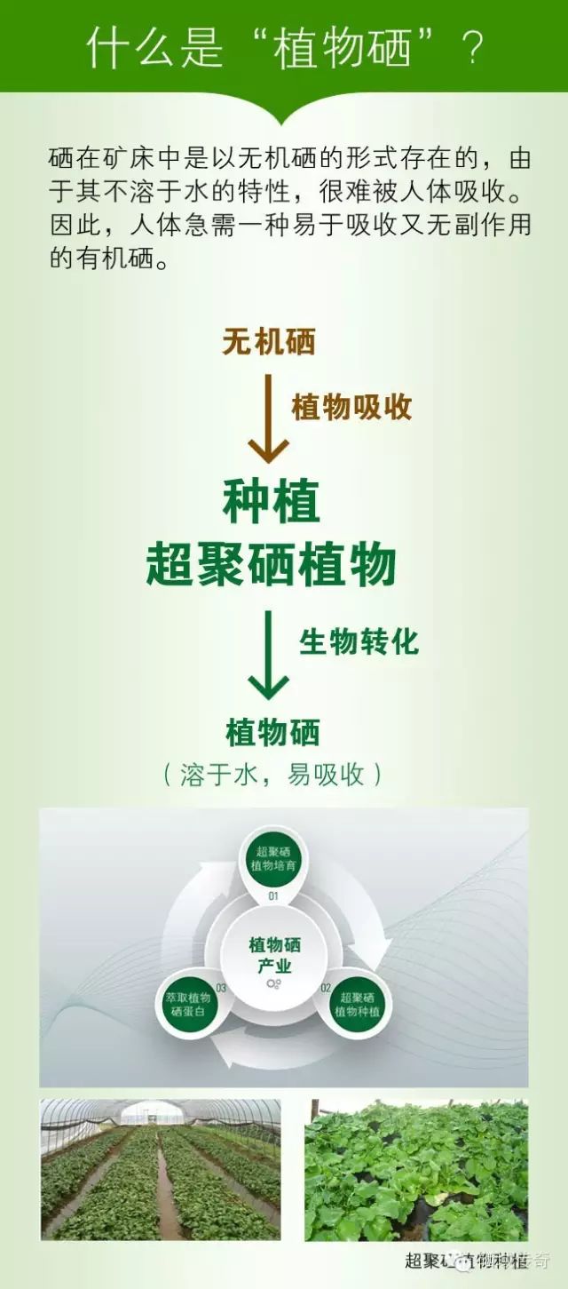 补硒能同时吃蛋白粉吗(蛋白能补粉吃硒片吗)-硒宝网