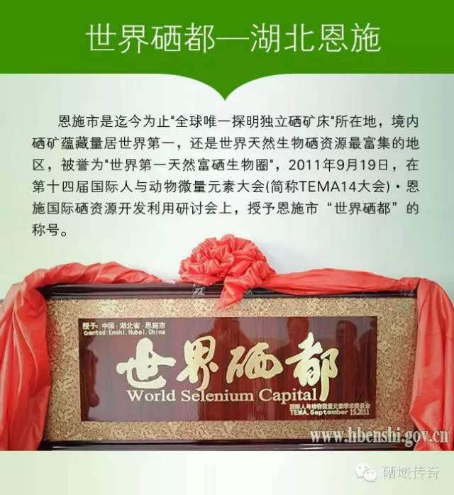 补硒能同时吃蛋白粉吗(蛋白能补粉吃硒片吗)-硒宝网