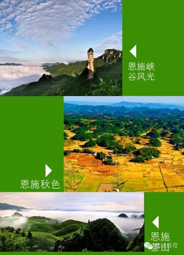 补硒能同时吃蛋白粉吗(蛋白能补粉吃硒片吗)-硒宝网