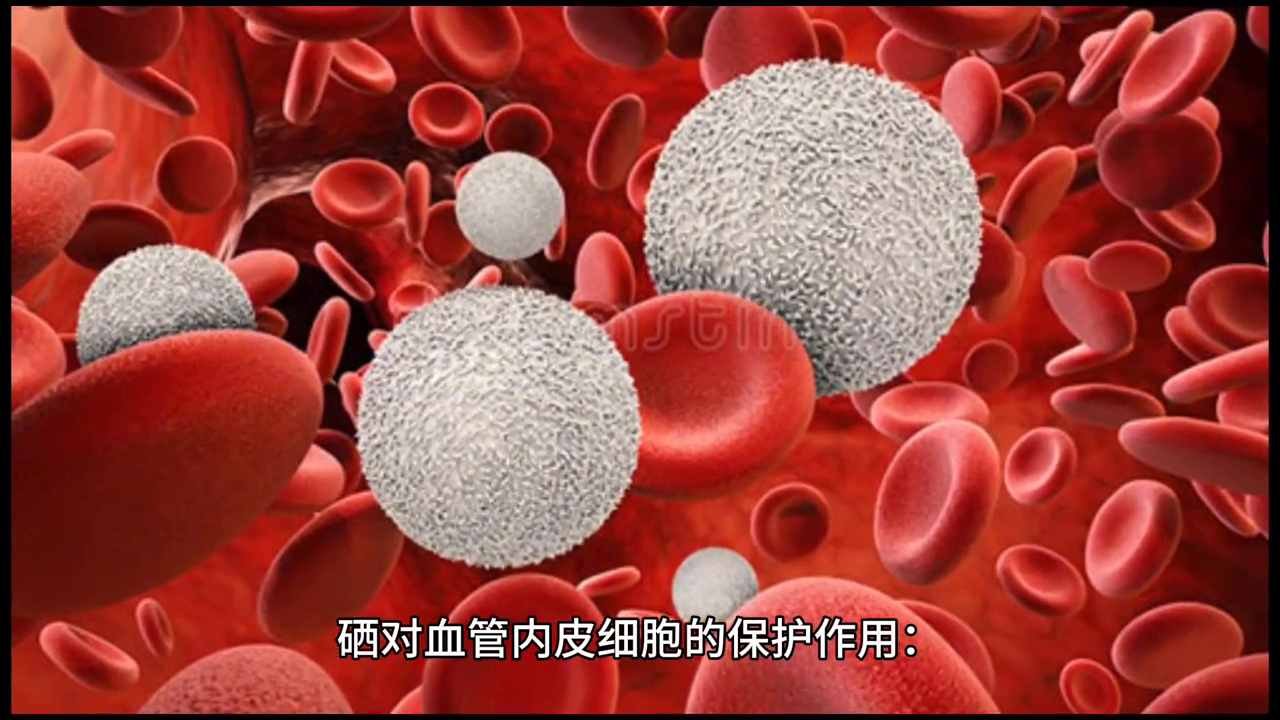 脑中风的人可以补硒么(硒与脑中风的作用)-硒宝网