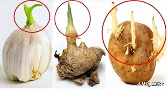 艾滋病患者需要补硒吗(艾滋病人要补硒吗)-硒宝网