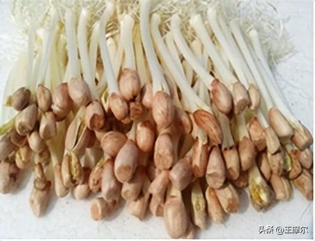 艾滋病患者需要补硒吗(艾滋病人要补硒吗)-硒宝网